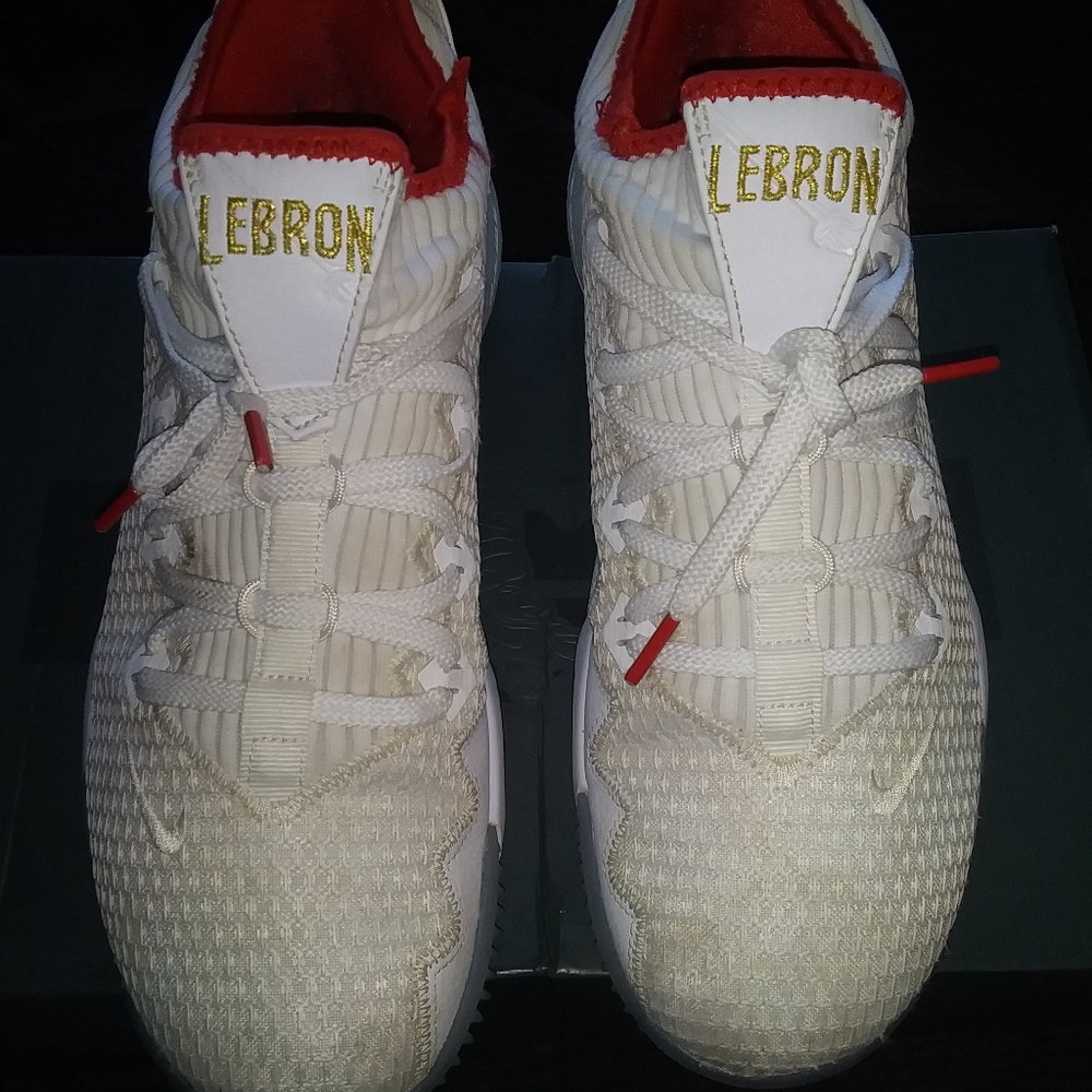 LeBron 16 low
